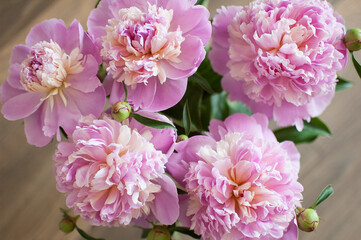 Close up of bouquet of fresh pink peonies, seasonal concept