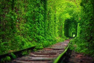 Abwaschbare Fototapete Grün eine Eisenbahn im Frühlingswald Tunnel der Liebe
