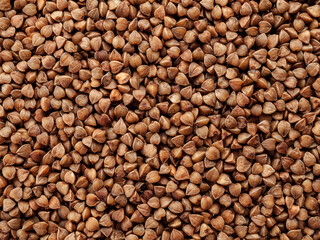 Background of buckwheat grains, close-up, buckwheat kernels, dietary nutrition
