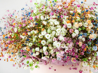 Small bright flowers of gypsophila close-up, bouquet, romance