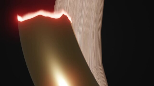 Rod of Asclepius Closeup Black BG