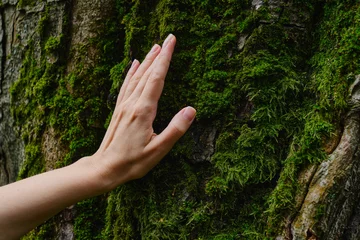 Zelfklevend Fotobehang Girl hand touches a tree with moss in the wild forest. Forest ecology. Wild nature, wild life. Earth Day. Traveler girl in a beautiful green forest. Conservation, ecology, environment concept  © Iuliia Pilipeichenko