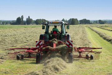 A farmer on a tractor with a machine that collects the hay in rows. © Jan van der Wolf