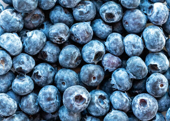 blueberries on the table background close up
