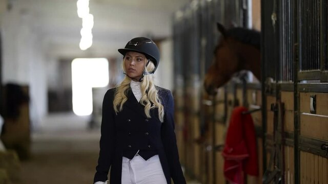 female horse rider is walking in stable and resting before championship, beautiful blonde woman