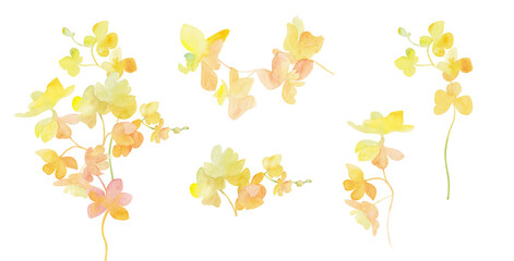 Summer flowers. Set of hand painted watercolor illustrations with bouquets of yellow flowers