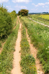 Fototapeta na wymiar Ryknild Street or Icknield Street (locally Condicote Lane) a Roman road just south of the Cotswold village of Condicote, Gloucestershire UK