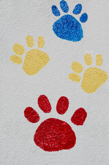 Colorful  puppy paw prints