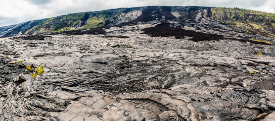 Remains of an Recent Lava Flow On The Sea Cliffs , Hawaii Volcanoes National Park, Hawaii Island, Hawaii, USA