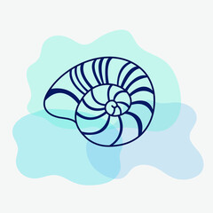 nautilus shell on blue background