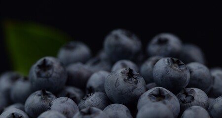 Blueberries closeup on black background, low key blueberry fruits.
