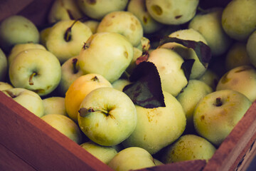 Closeup Apples Wooden Basket