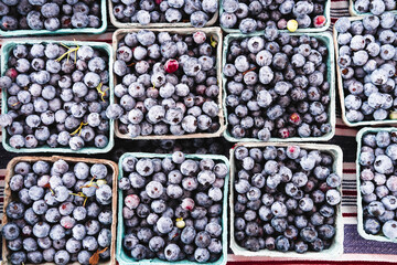 Fresh Organic Blueberries