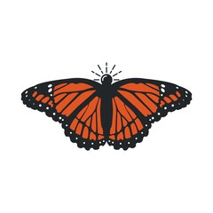 Beauty Butterfly Vector logo design