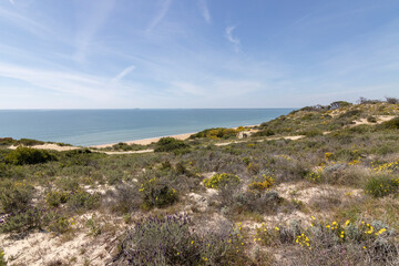Fototapeta na wymiar unas vistas de la bella playa de Mazagon, situada en la provincia de Huelva, España. Con sus acantilados, pinos, dunas , vegetacion verde y un cielo con nubes. Atardeceres preciosos