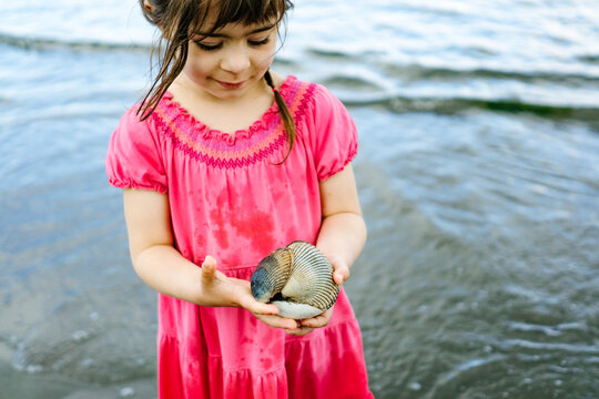 Cropped image of a girl holding a stack of sea shells on the beach