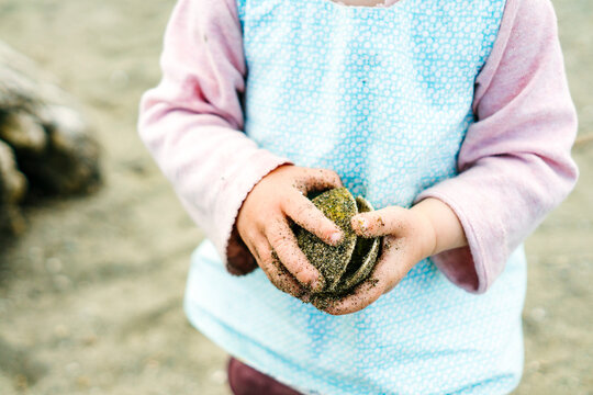 Closeup view of a child holding a clam shell at Carkeek Beach