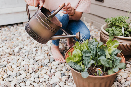 Woman Waters Plants Outside Of Home In Midwest