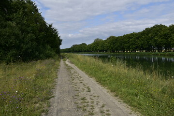 Fototapeta na wymiar Natur und Weg am Mittelland-Kanal bei Bückeburg