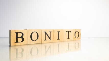The name Bonito was created from wooden letter cubes. Seafood and food.