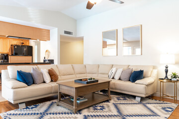 modern living room with sofa