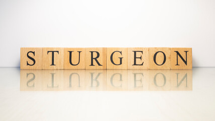 The name Sturgeon was created from wooden letter cubes. Seafood and food.