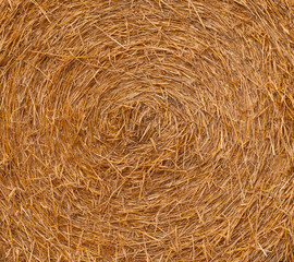 Center of a straw bale