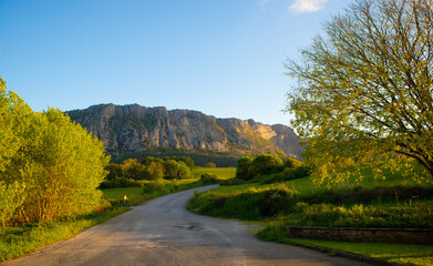 Fototapeta premium Road to the hills at Ciordia (Navarre)