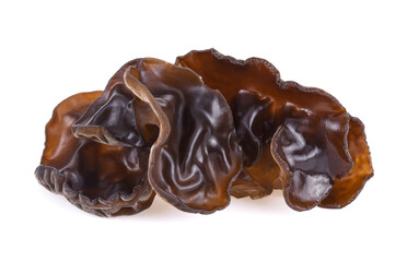 ear mushroom on white background