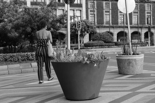 soledad