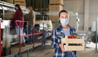 Portrait of woman gardener in face mask holding wooden crate with sweet organic strawberry at farm warehouse
