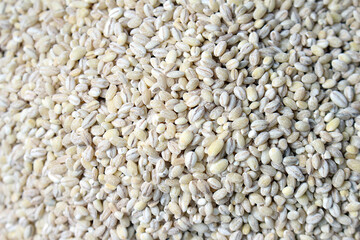 한국의 음식 재료, 보리,