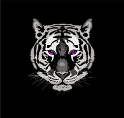 tiger graphics vector illustration