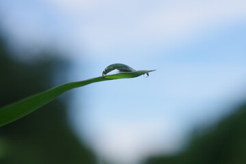 しずくのイメージ