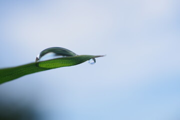 しずくのイメージ