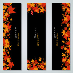 Autumn style vertical vector banners collection. Black background with colorful leaves
