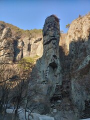 ruins of the castle