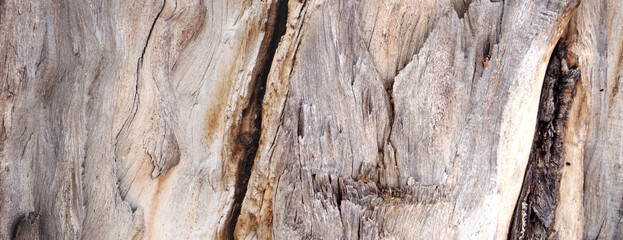 wood texture background surface with old natural pattern