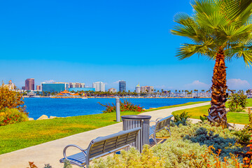 Park bench and palm tree sit in front of the Long Beach skyline in Southern California