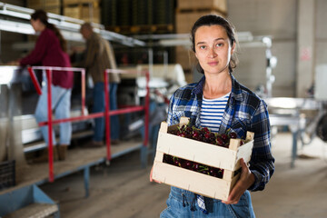 Female standing with crate of cherry during sorting and checking quality at warehouse on factory. High quality photo