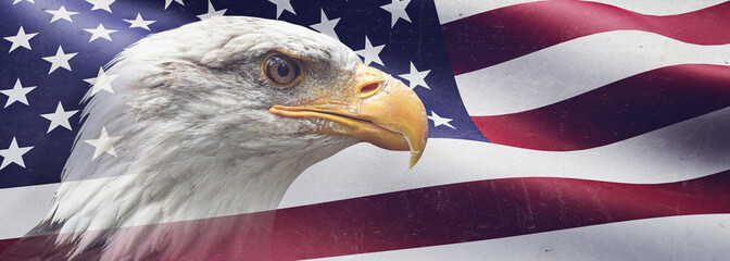 Patriotischer Adler, der vor der US-Flagge 
