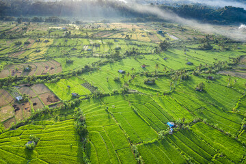 Aerial landscape view taken by drone of rice paddy fields in Bali and located near Amlapura in Karangasem province