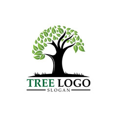 Obraz premium Child care. Tree logo. Educational design .balance and life design. Vector illustration