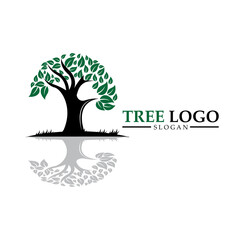 Obraz premium Child care. Tree logo. Educational design .balance and life design. Vector illustration