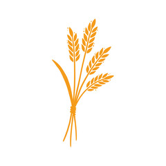Wheat, barley, rice icon. Hand drawn sketch style oat with grain. Wheat isolated vector illustration. Golden color barley.