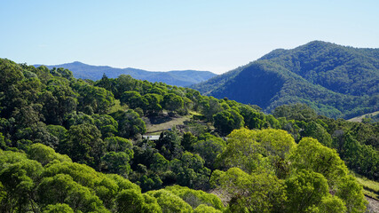Fototapeta na wymiar Mountain landscape with trees at Imbil Queensland