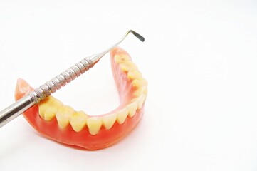 Fototapeta na wymiar mandibular full denture