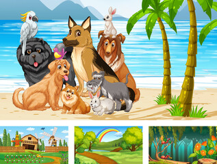 Four different nature horizontal scene