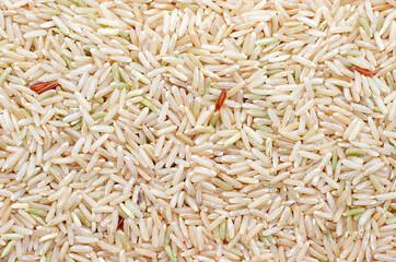 Dry organic brown rice seeds background ready for clean or healthy food ingredient. Concept of agricultural product or food raw material