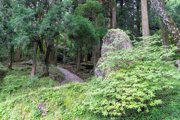 英彦山豊前坊展望台登山口（高住神社参道）